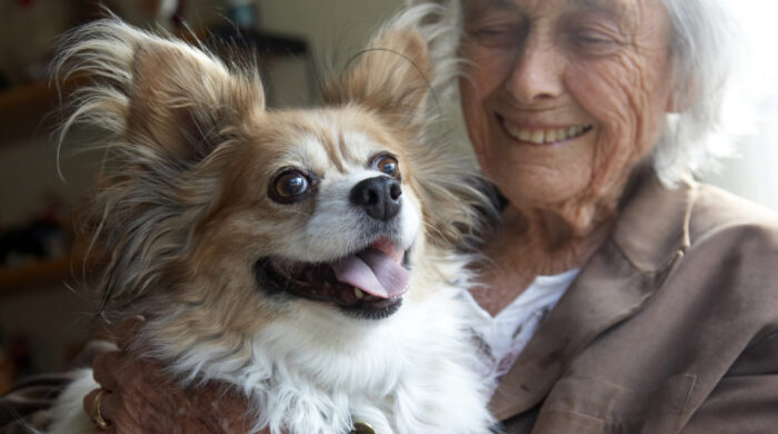 pet care at home